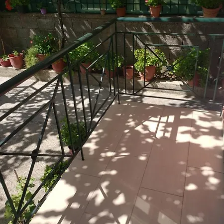 Papa Guest house *